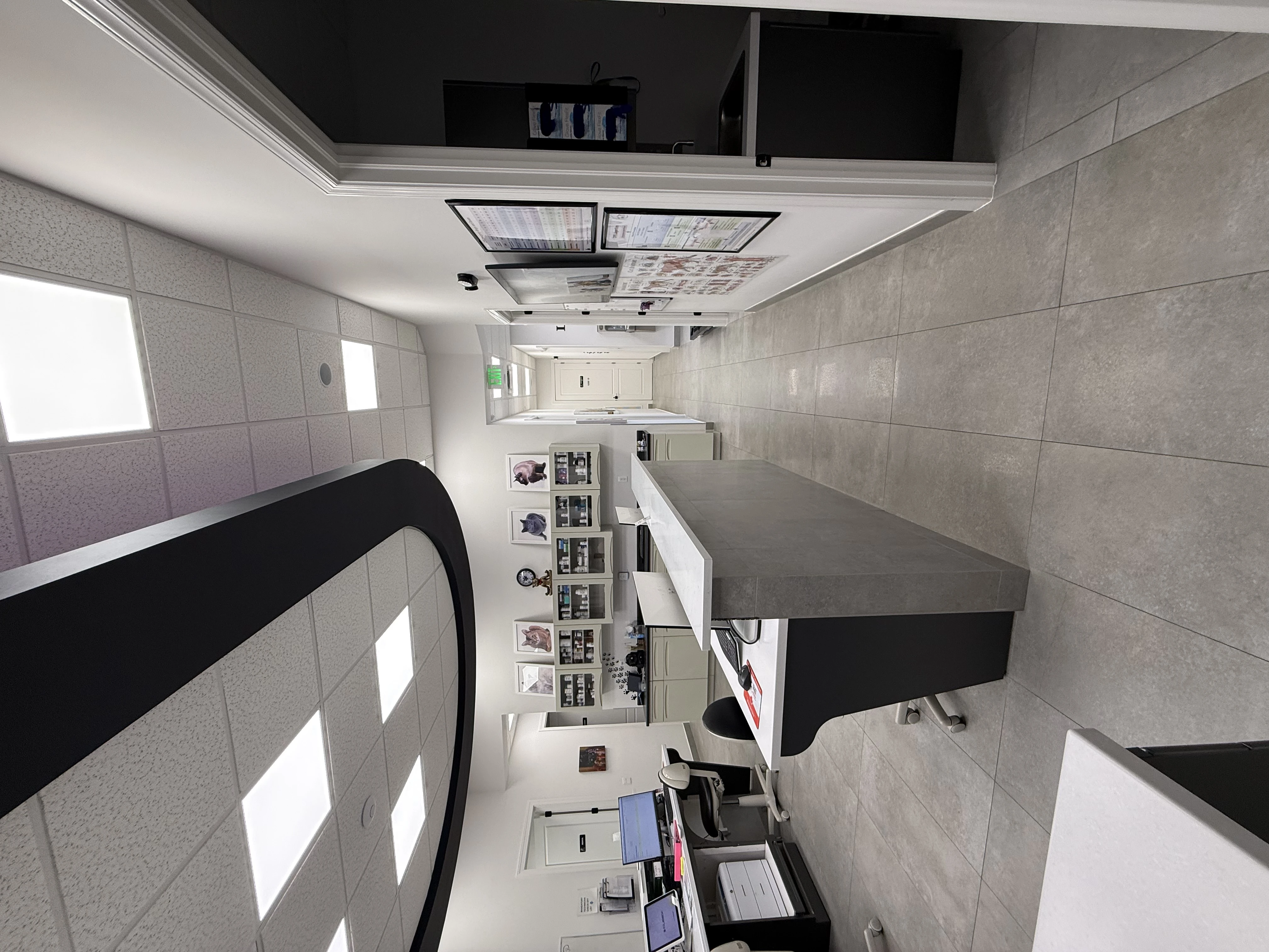 Treatment area