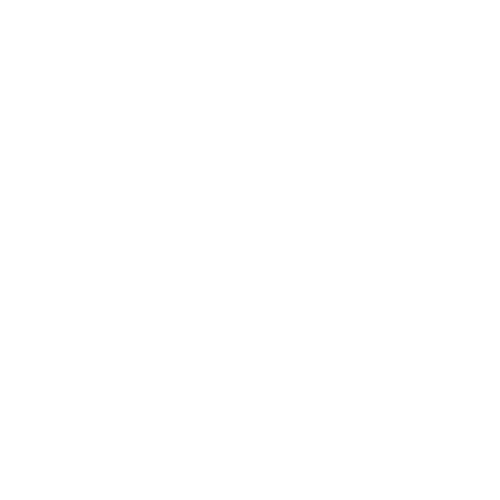 American Animal Hospital Association