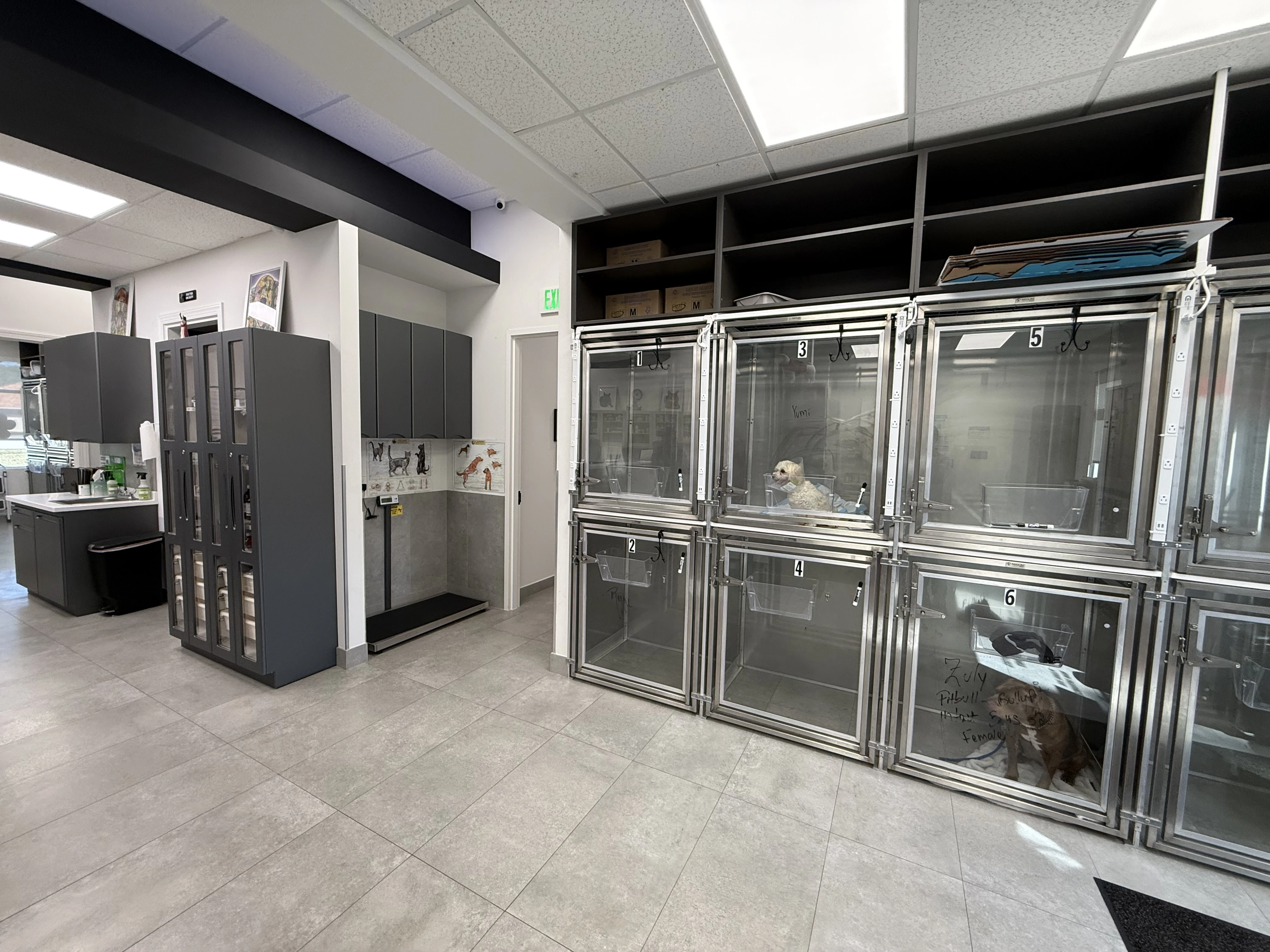 ICU recovery suite
