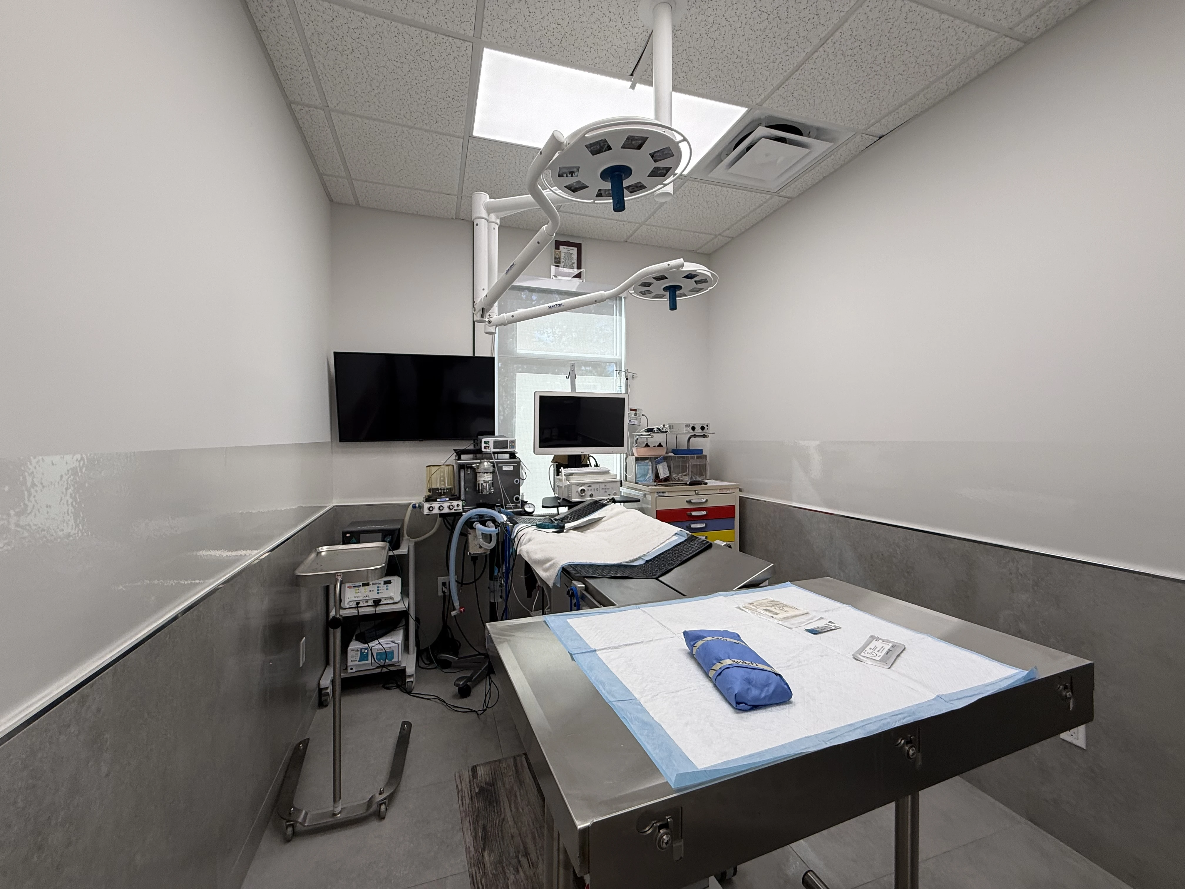 Surgical suite